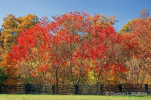 Autumn Along The Trace_24595.jpg - Photographed along the Natchez Trace Parkway, Tennessee, USA.